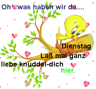 Jappy bilder