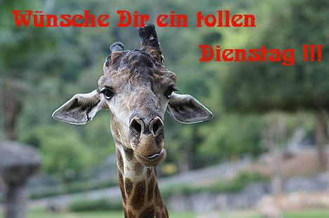 Dienstag GB Pic : 1