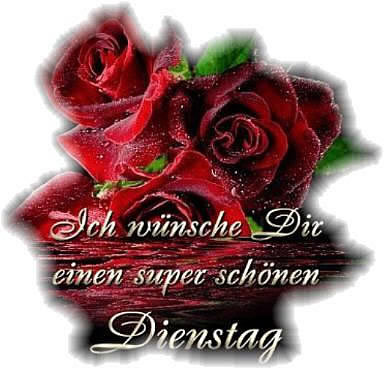 Dienstag GB Pic : 4