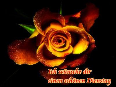 Dienstag GB Pics Dienstag : 2