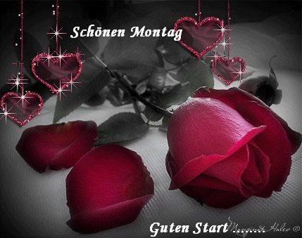 Montag GB Pic : 7