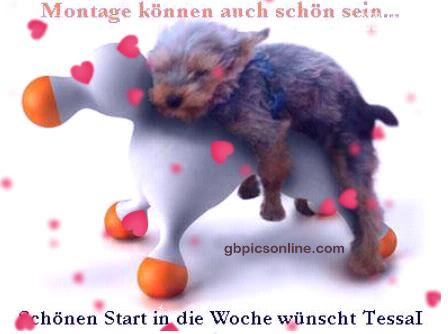 Montag GB Pic : 8