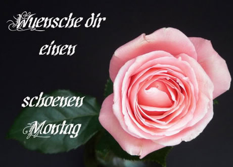 Montag GB Pic : 5