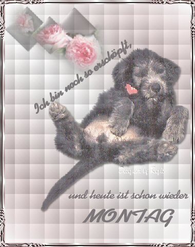 Montag GB Pic : 1