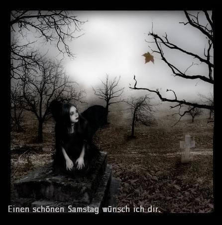 Samstag GB Pic : 3