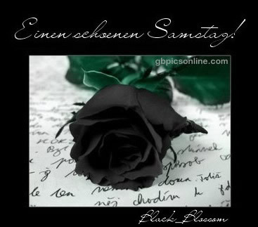 Samstag GB Pic : 2