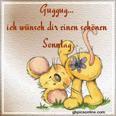 kwick g�stebuch bilder