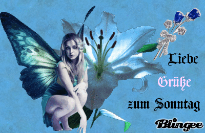 Sonntag GB Pic : 8