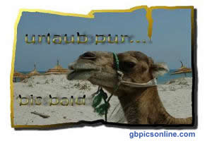 Urlaub GB Pic : 2