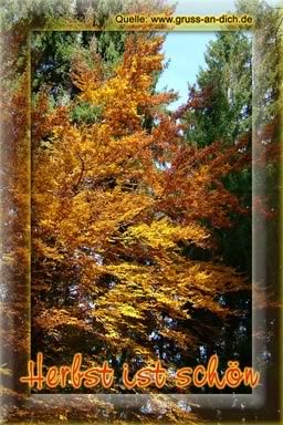Herbst bild 2 Herbst bild 2