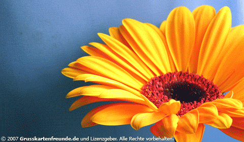 Frühling GB Pic : 2