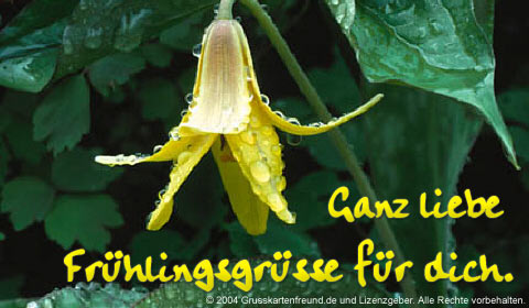 Frühling GB Pic : 3