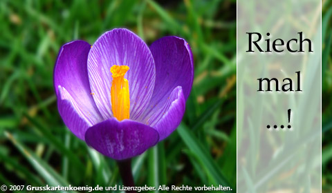 Frühling GB Pic : 1