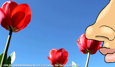 Frühling GB Pic : 2