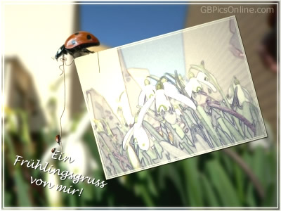 Frühling GB Pic : 5