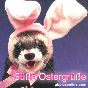 Lustiges zu Ostern GB Pic : 7