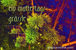 Muttertag GB Pic : 5