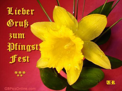 Pfingsten GB Pic : 4