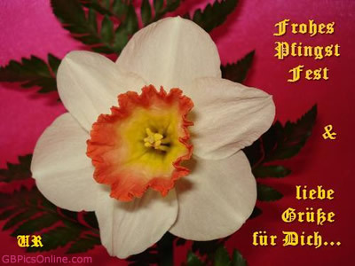 Pfingsten GB Pic : 5