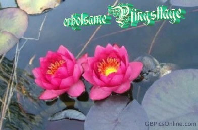 Pfingsten GB Pic : 6