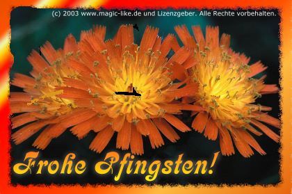 Pfingsten GB Pic : 4