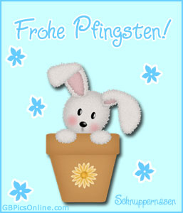 Pfingsten GB Pic : 3