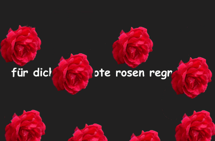 Für dich solls rote Rose regnen..