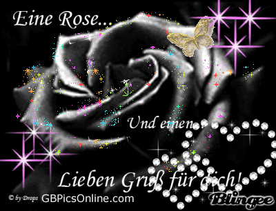 Eine Rose.. Und einen lieben Gruß für dich!
