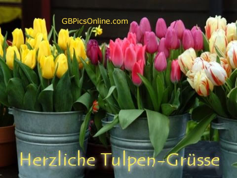 Herzliche Tulpen-Grüße.