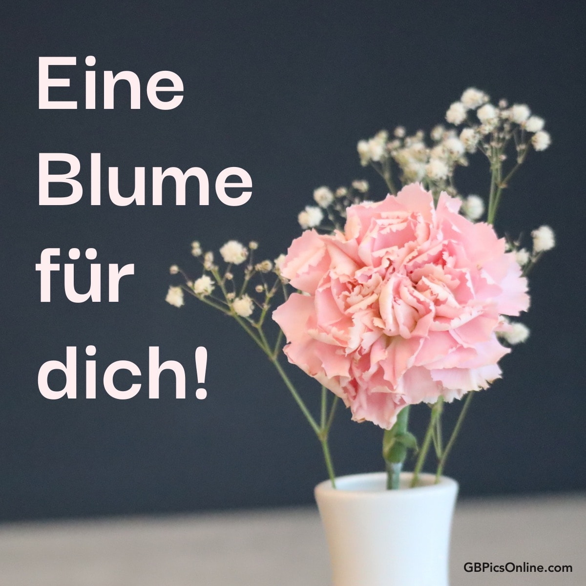 Eine rosa Blume in einer Vase mit Text „Eine Blume für dich!“ auf dunklem Hintergrund