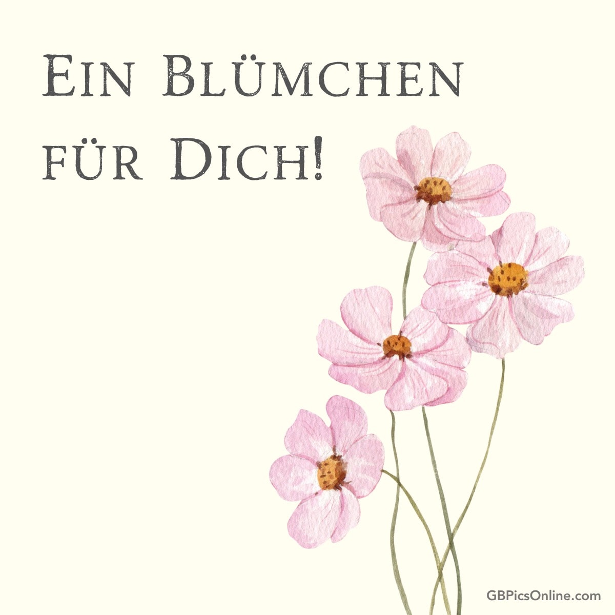 Rosa Blumen mit Text „Ein Blümchen für dich!“