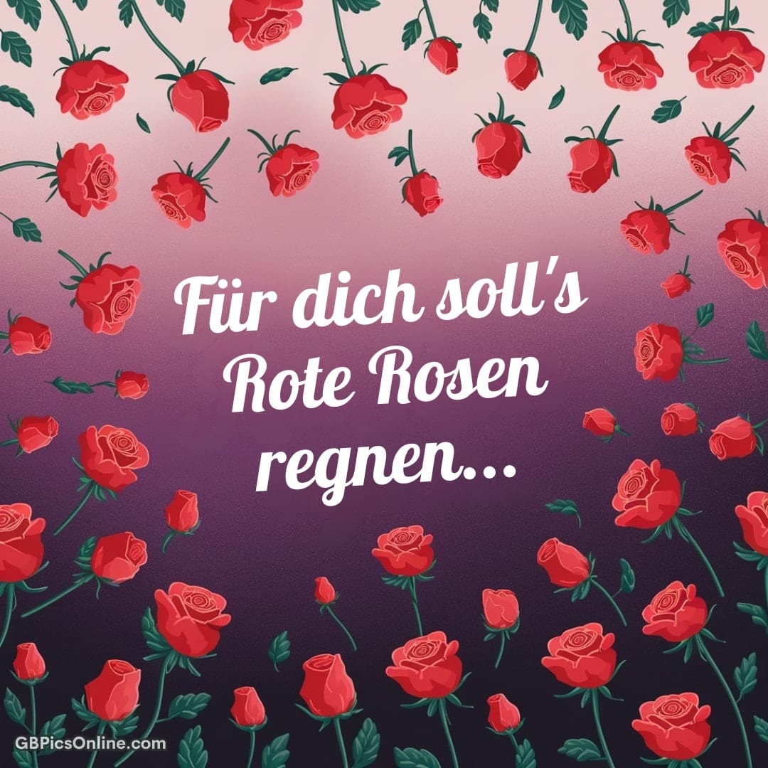 Illustration mit roten Rosen und dem Text „Für dich soll's Rote Rosen regnen...“ auf violettem Grund