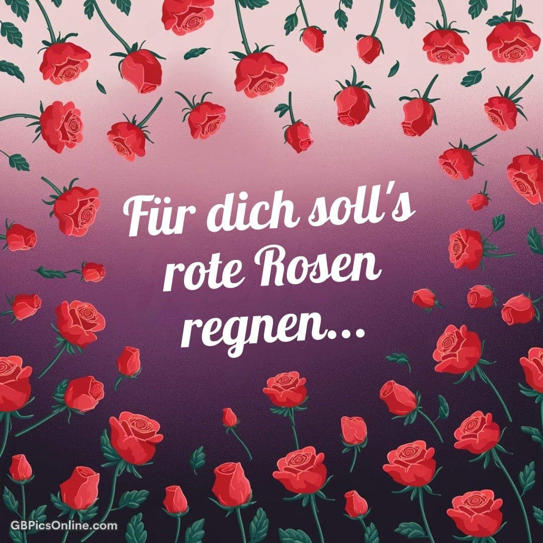 Illustration mit roten Rosen und dem Text „Für dich soll's Rote Rosen regnen...“ auf violettem Grund