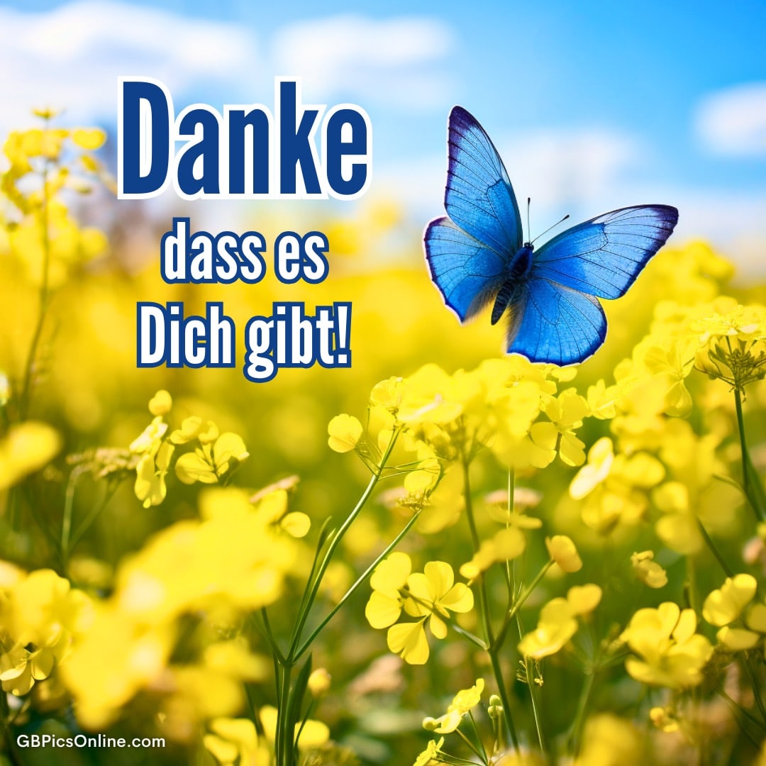 Blauer Schmetterling fliegt über gelbe Blumen, Text: „Danke dass es Dich gibt!“
