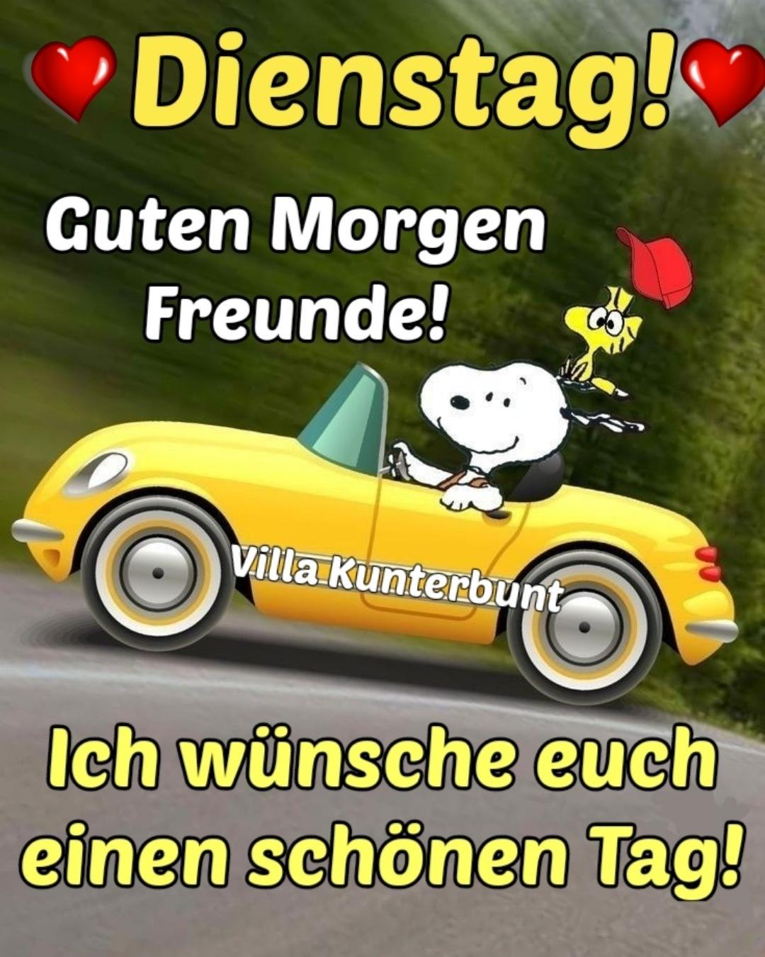 Dienstag! Guten Morgen Freunde! Ich wünsche euch einen schönen Tag!