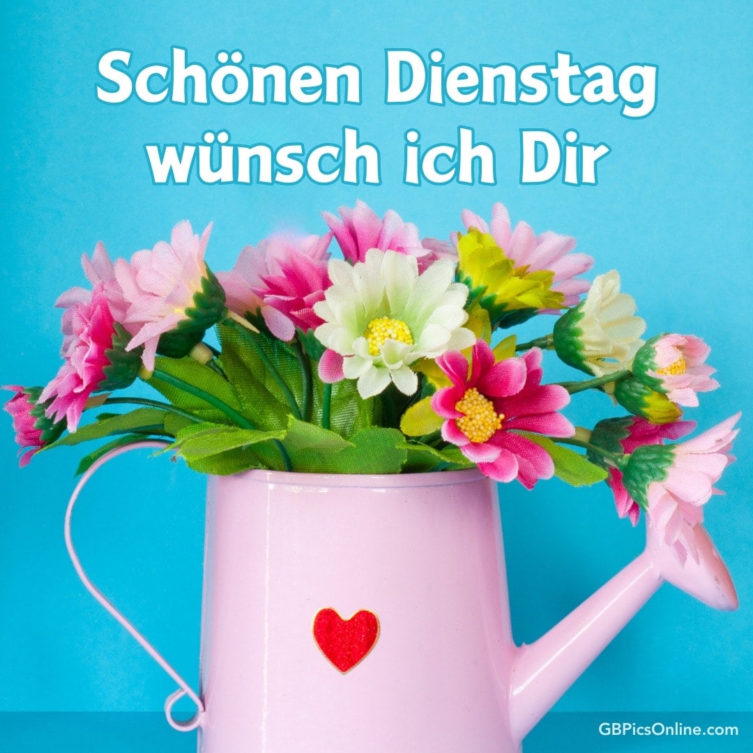 Ein rosa Gießkanne mit Blumen und dem Text „Schönen Dienstag wünsch ich Dir“