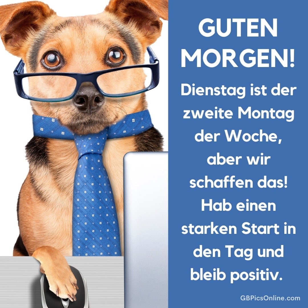 Ein Hund mit Brille und blauer Krawatte sitzt am Schreibtisch und arbeitet am Computer. Rechts steht ein motivierender Text