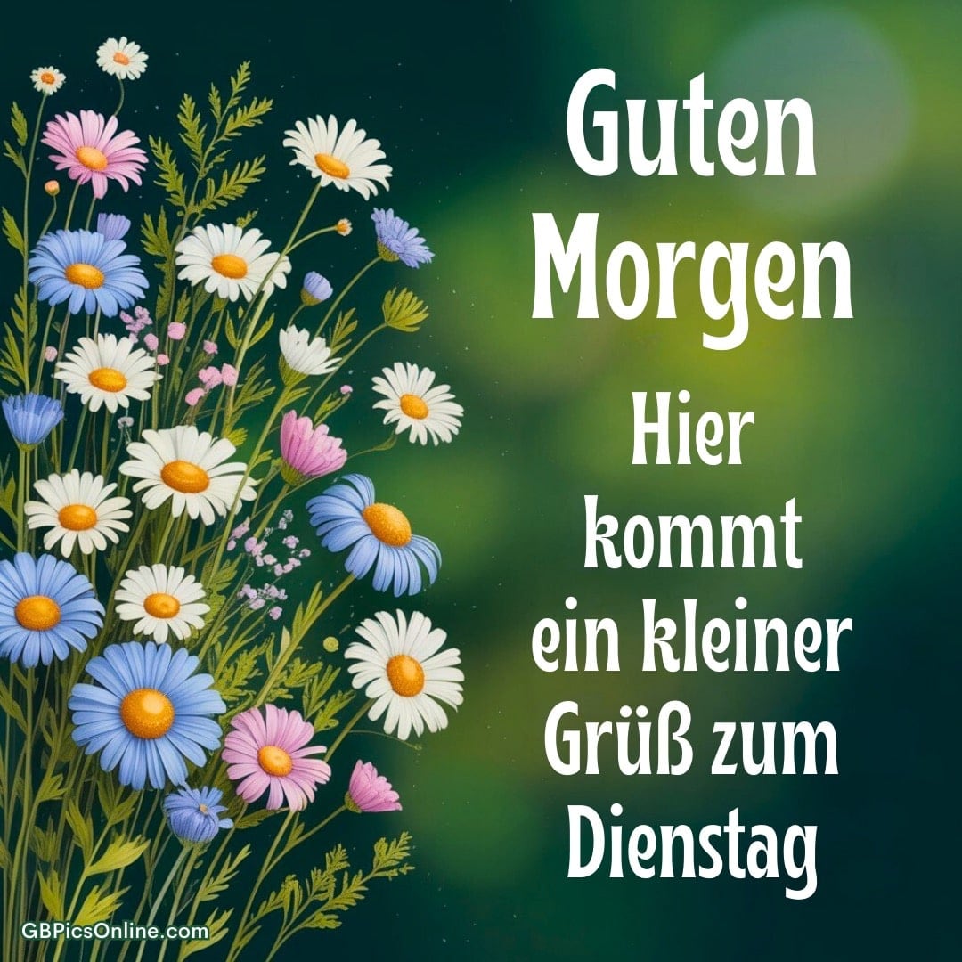 Ein bunter Strauß aus Margeriten und Blumen, daneben steht: Guten Morgen, ein kleiner Gruß zum Dienstag