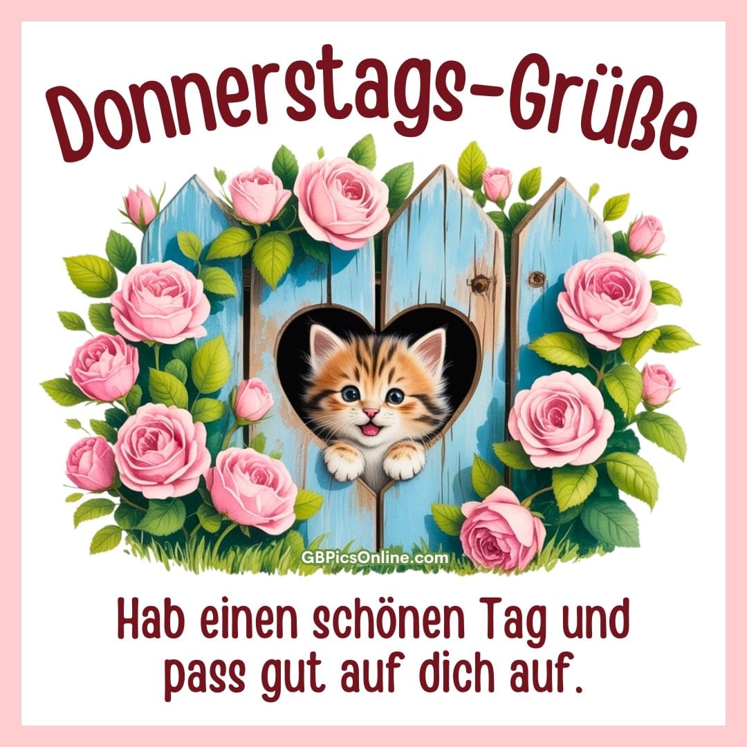 Holztür mit Herzloch, niedliches Kätzchen und Rosen, „Donnerstags-Grüße“, Wünsche für einen schönen Tag