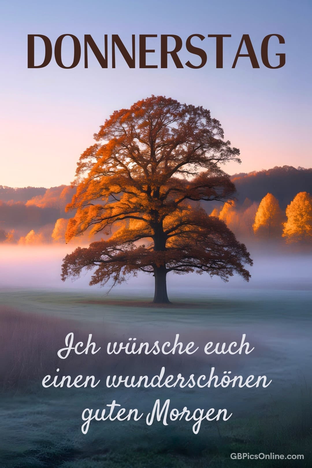 Ein Baum in leuchtenden Herbstfarben bei Sonnenaufgang und Nebel