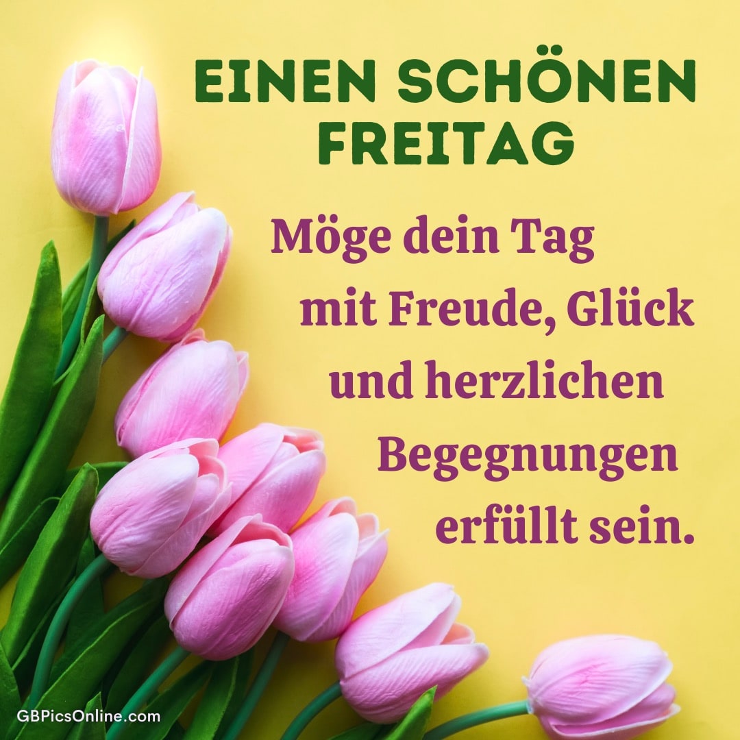 Rosa Tulpen auf gelbem Hintergrund, dazu ein Freitagsgruß mit Wünschen für Freude, Glück und herzliche Begegnungen