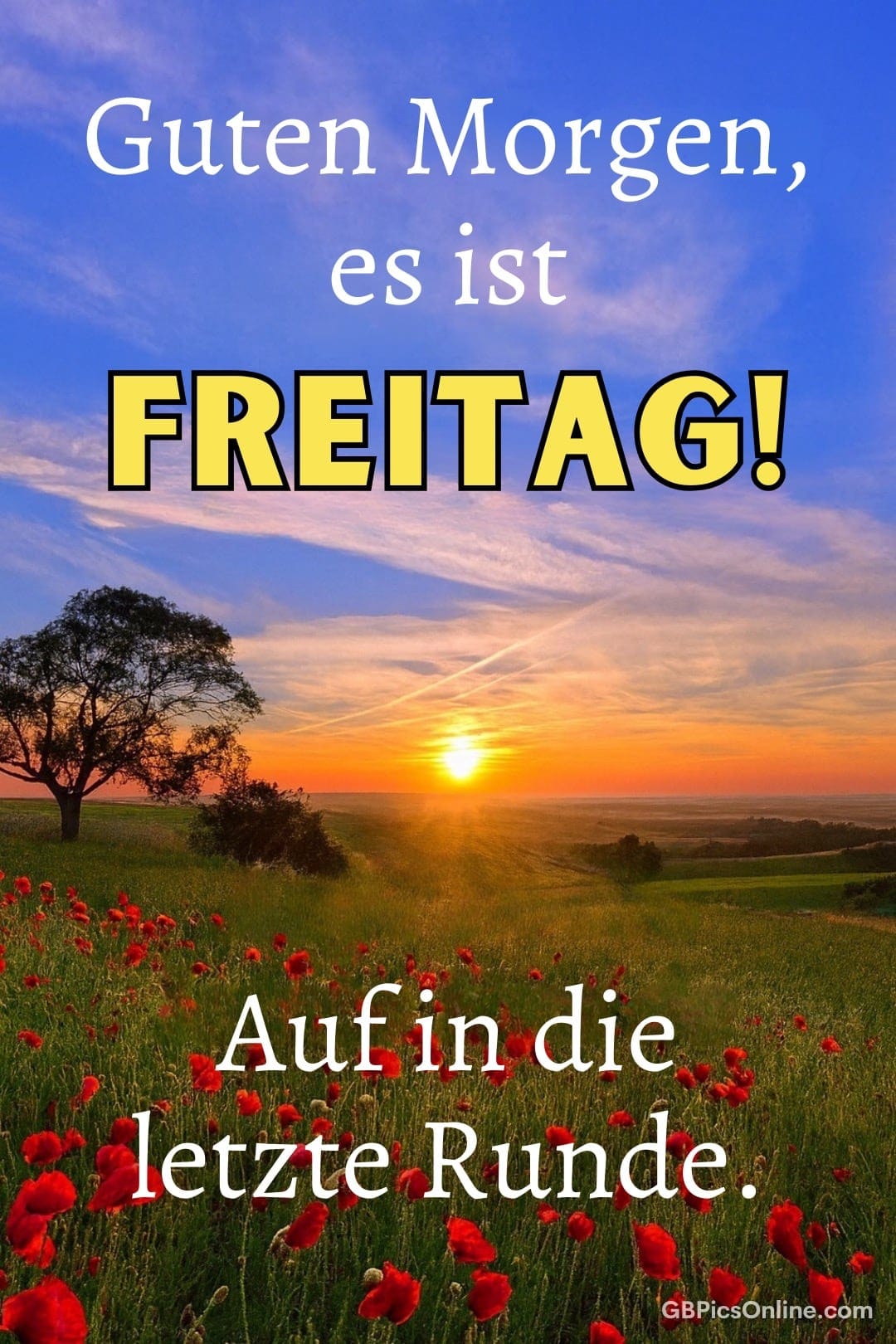 Sonnenaufgang über einem Mohnfeld mit Text „Guten Morgen, es ist Freitag!“