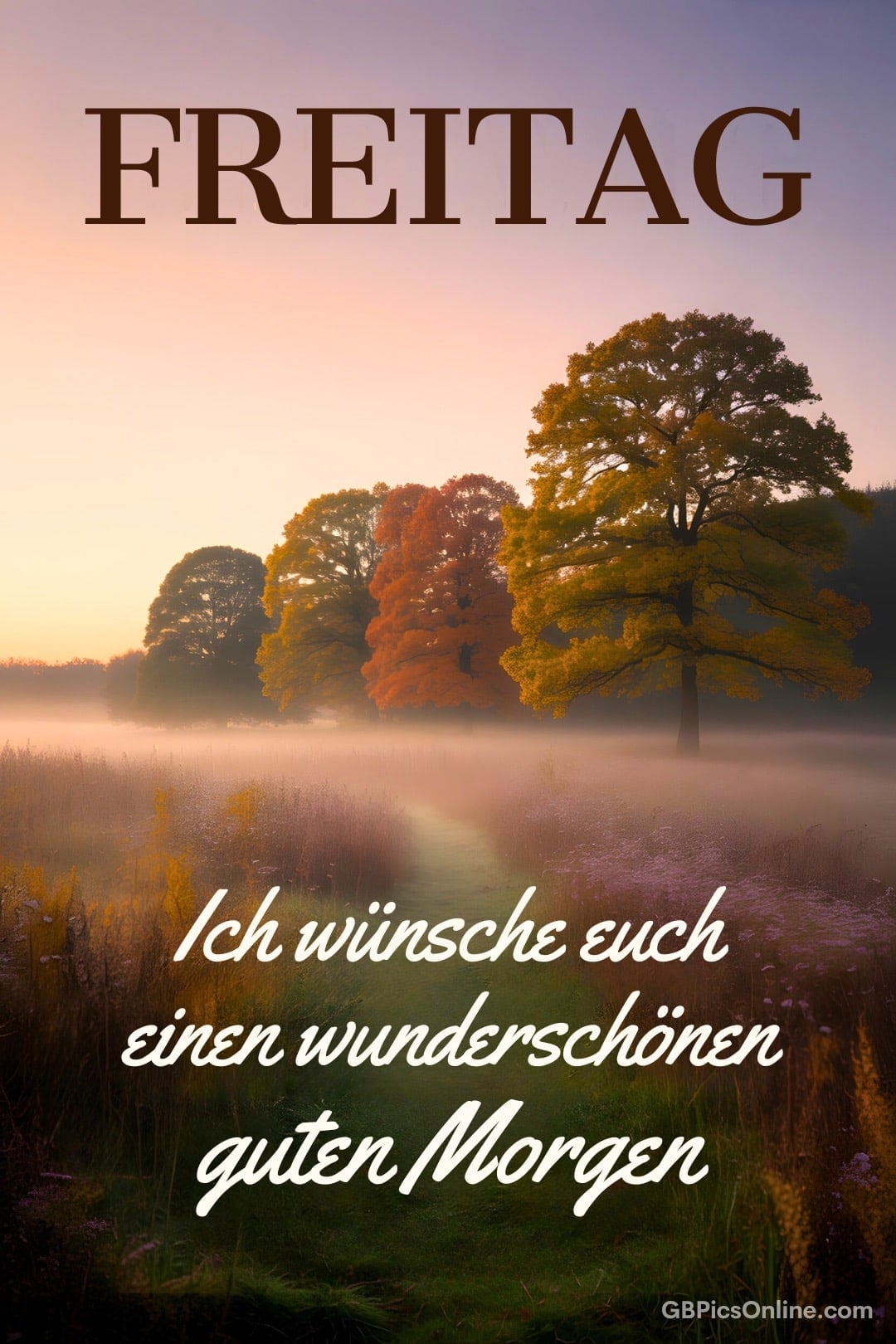 Herbstlandschaft im Nebel mit dem Text „Ich wünsche euch einen wunderschönen guten Morgen“