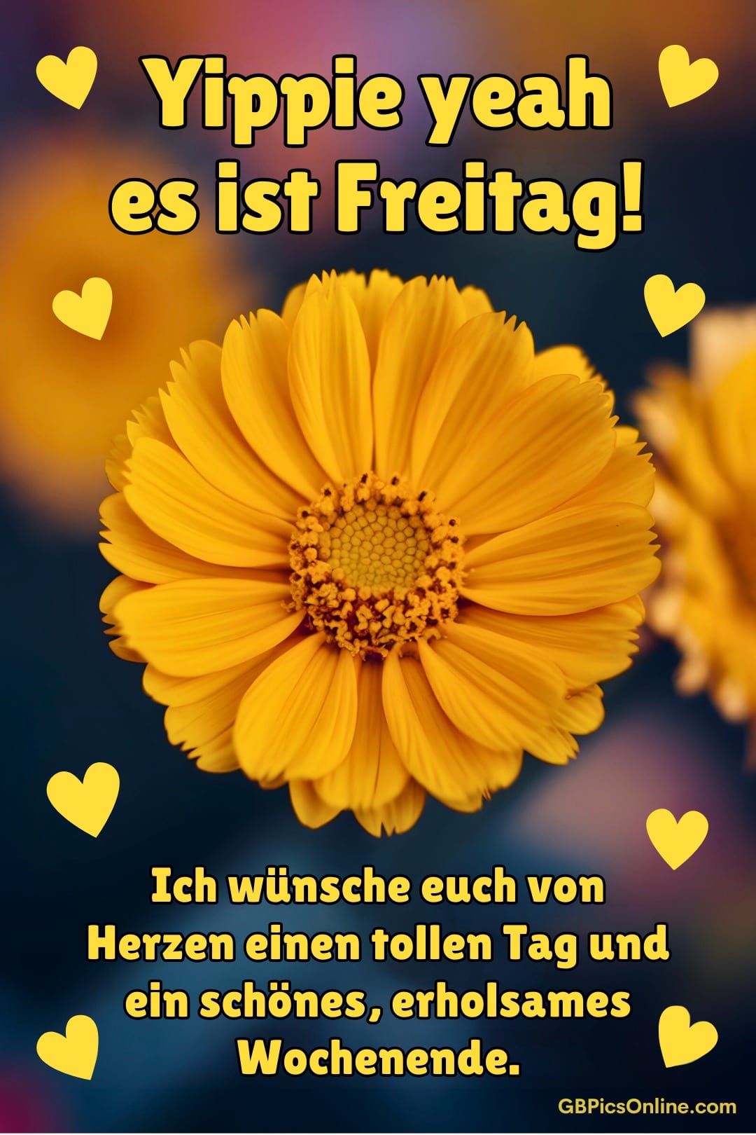 Gelbe Blume mit Text über Freude am Freitag und Wochenendwünschen