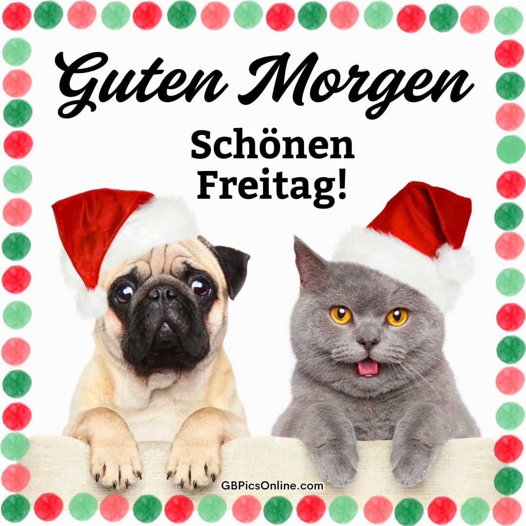 Mops und graue Katze mit Weihnachtsmützen wünschen: Guten Morgen, schönen Freitag!
