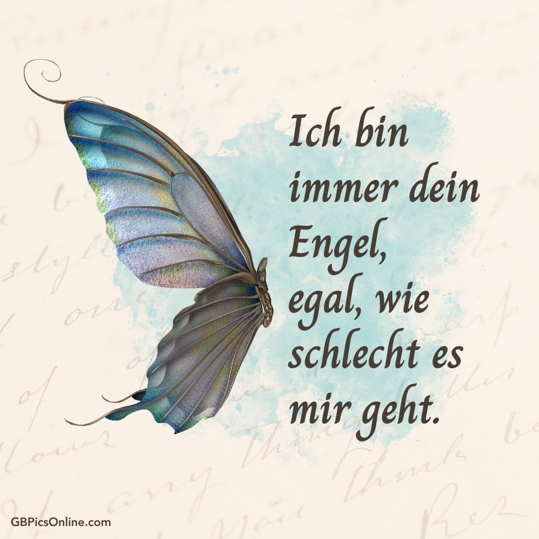 Ein Schmetterling mit Text: „Ich bin immer dein Engel, egal, wie schlecht es mir geht.“