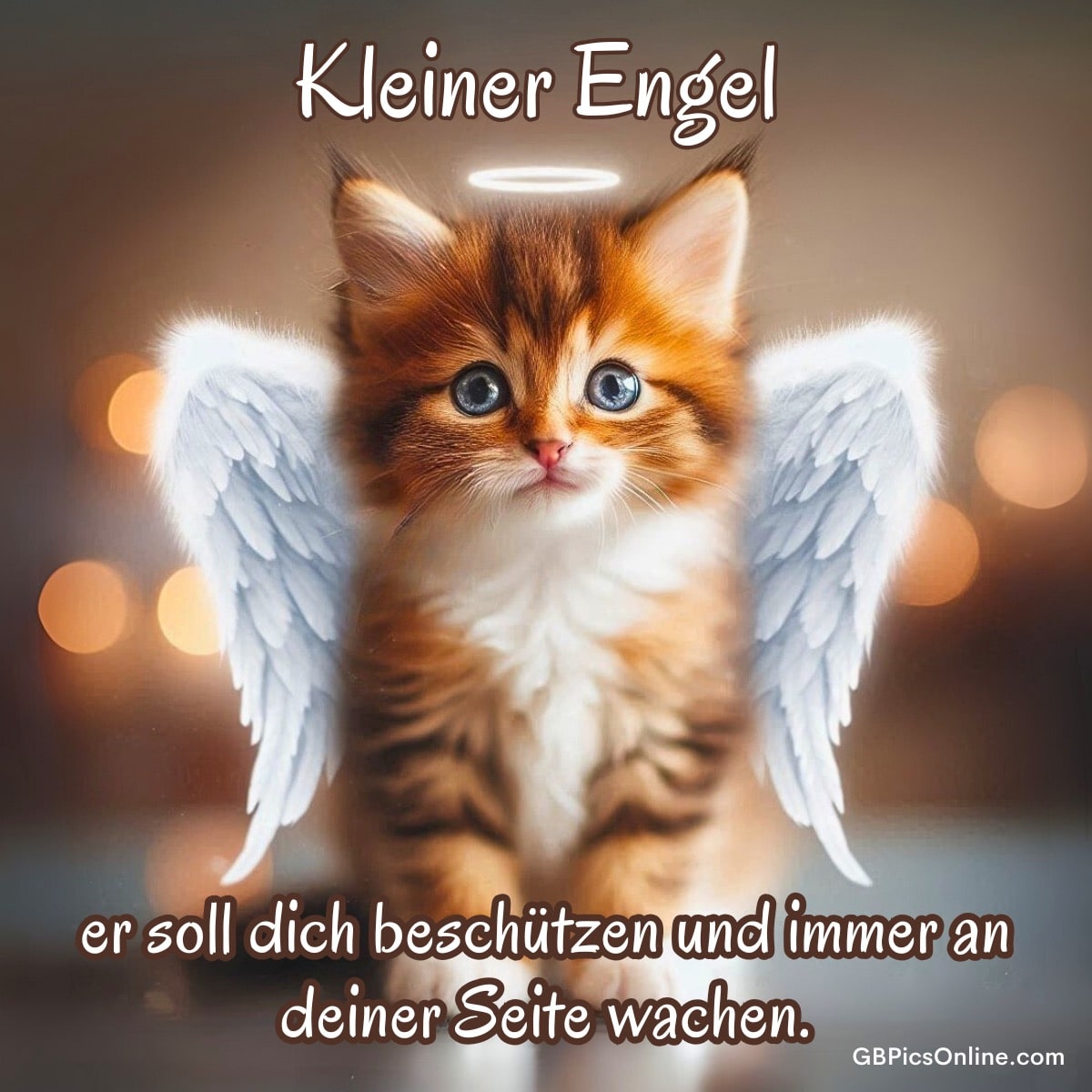 Kätzchen mit Flügeln und Heiligenschein als schutzbringender Engel