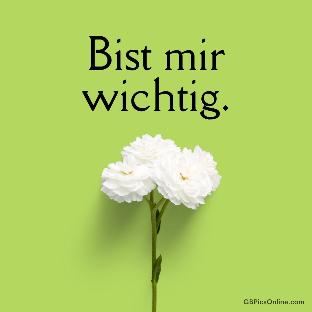 Grüner Hintergrund mit weißer Blüte und dem Schriftzug „Bist mir wichtig.“