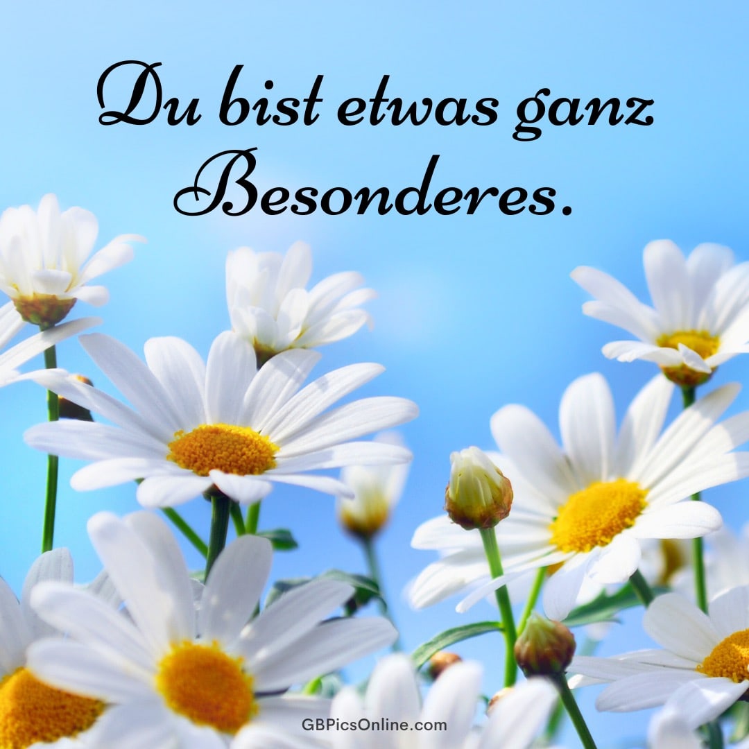 Gänseblümchen vor blauem Himmel mit der Aufschrift: „Du bist etwas ganz Besonderes.“
