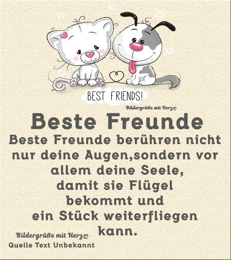Beste Freunde - Beste Freunde berühren...